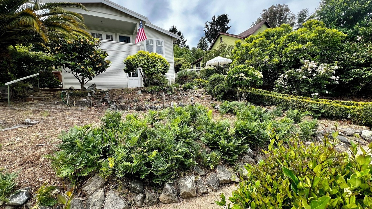 Photo of Outdoor in Almonte