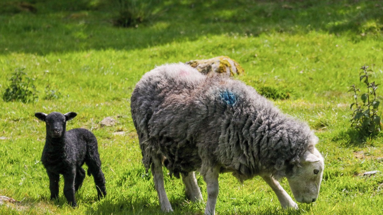 Photo of Others in Margam