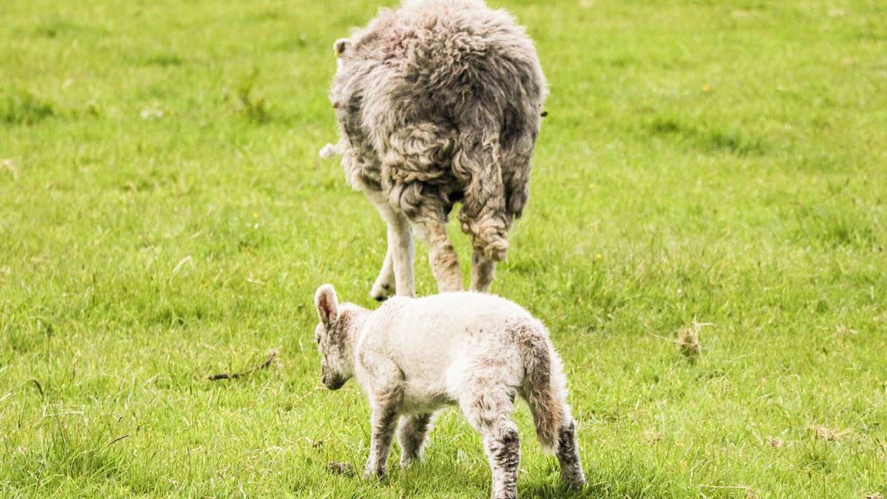 Photo of Others in Margam