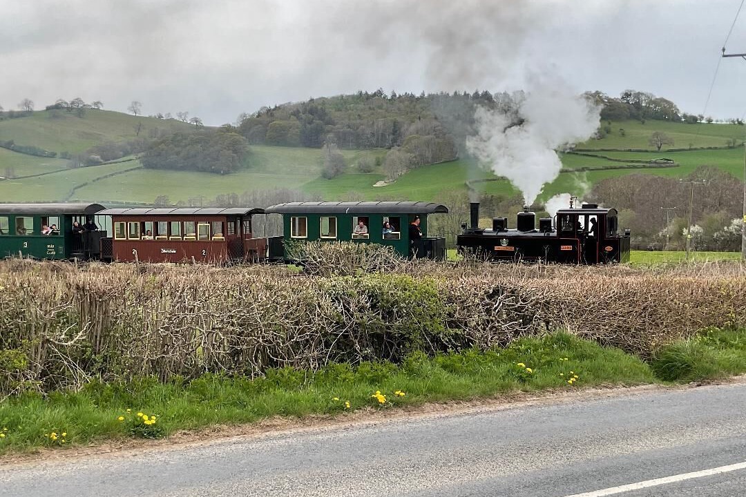 Photo of Others in Welshpool