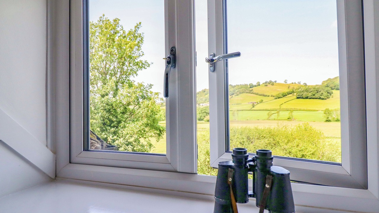 Photo of Others in Welshpool