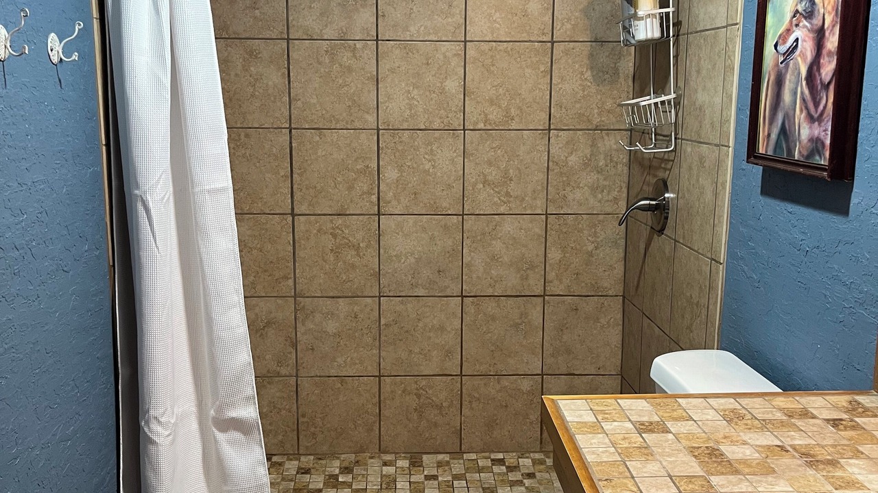 Photo of Bathroom in Austin
