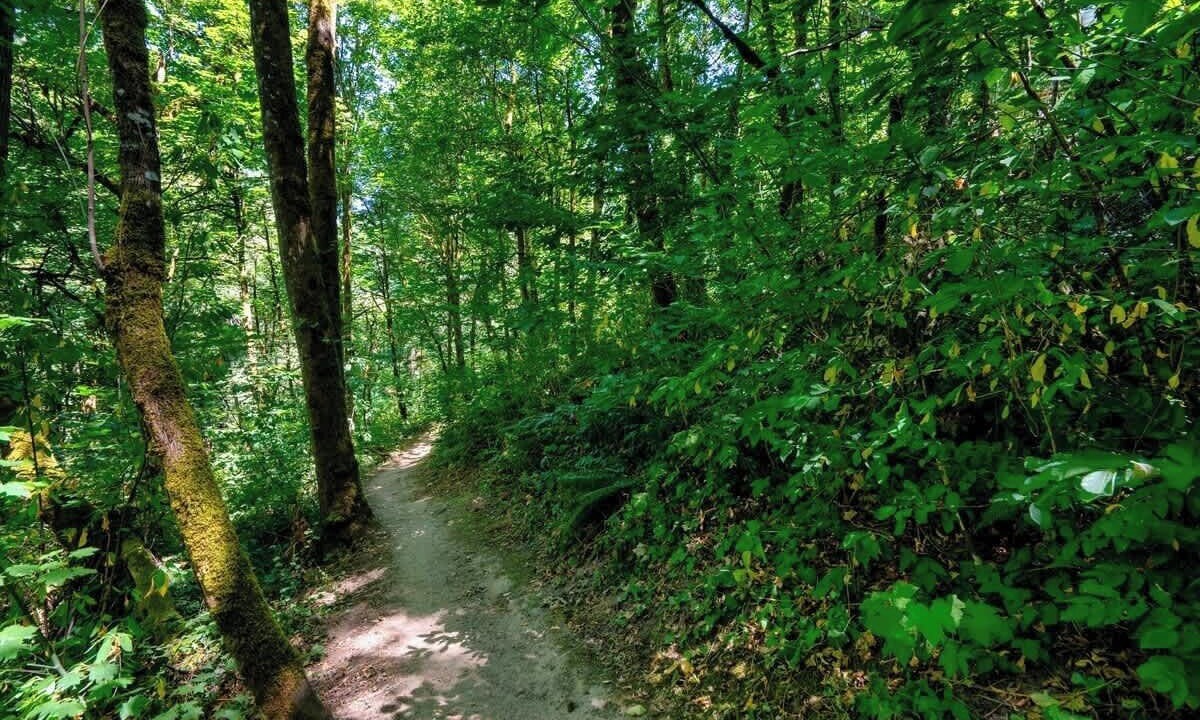 Photo of Others in Ashcreek