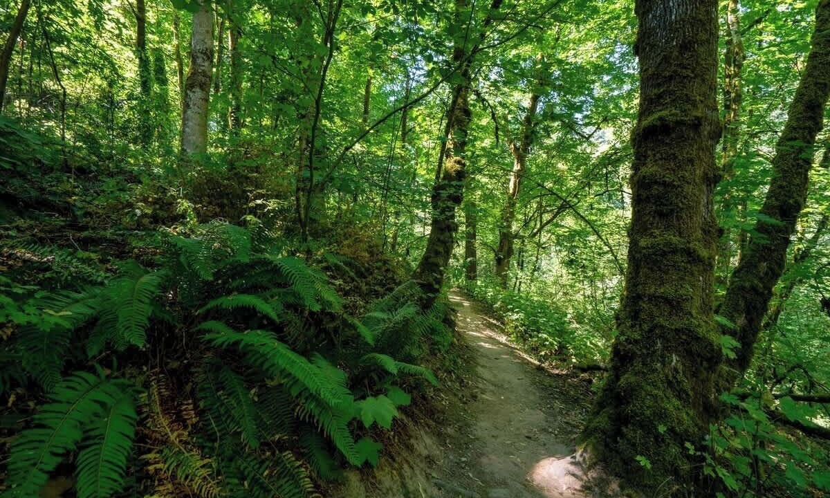 Photo of Others in Ashcreek