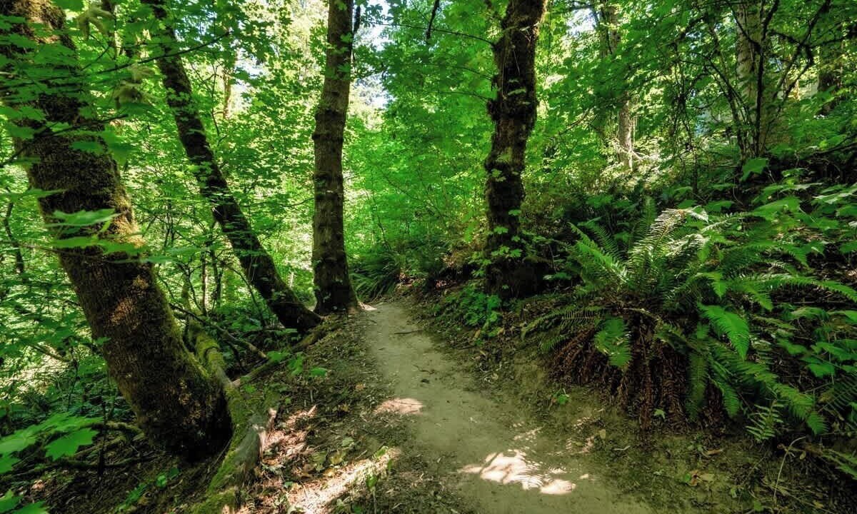 Photo of Others in Ashcreek