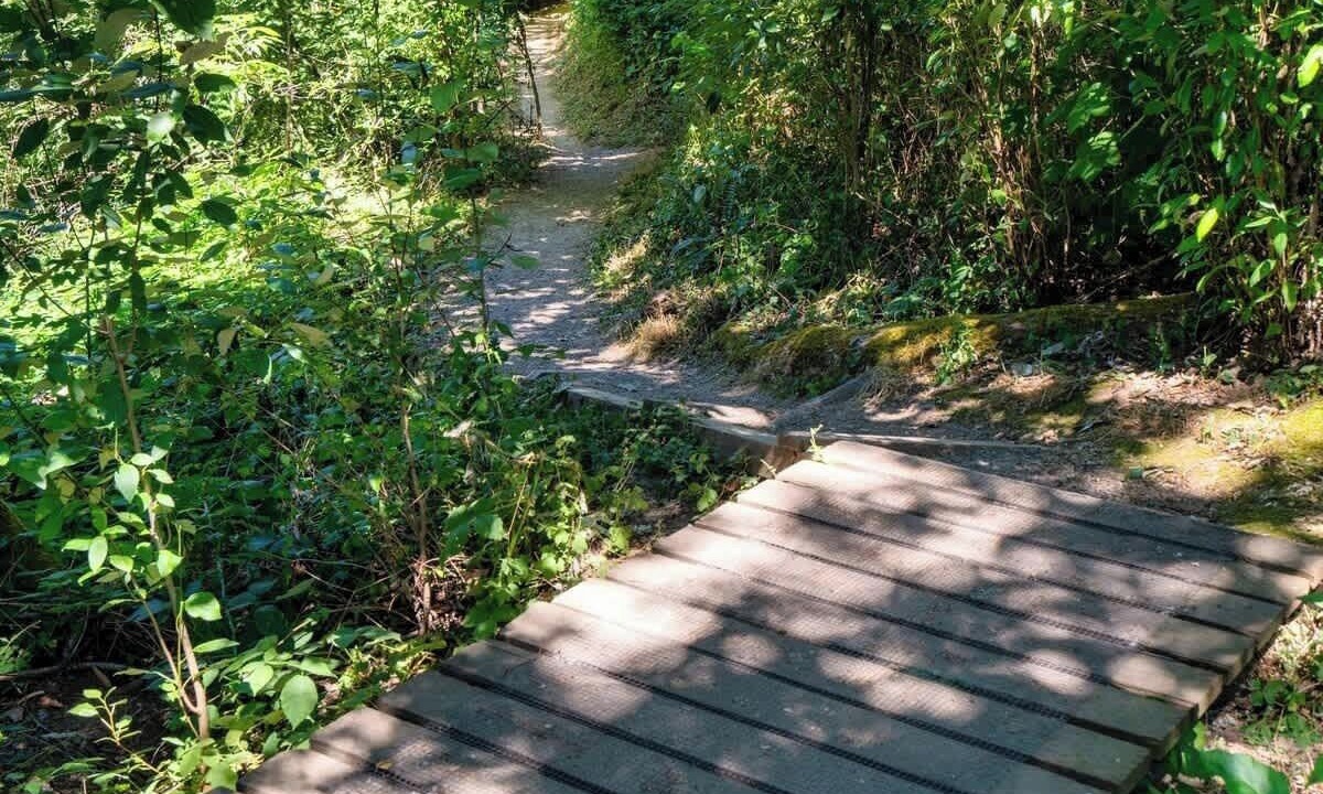 Photo of Outdoor in Ashcreek