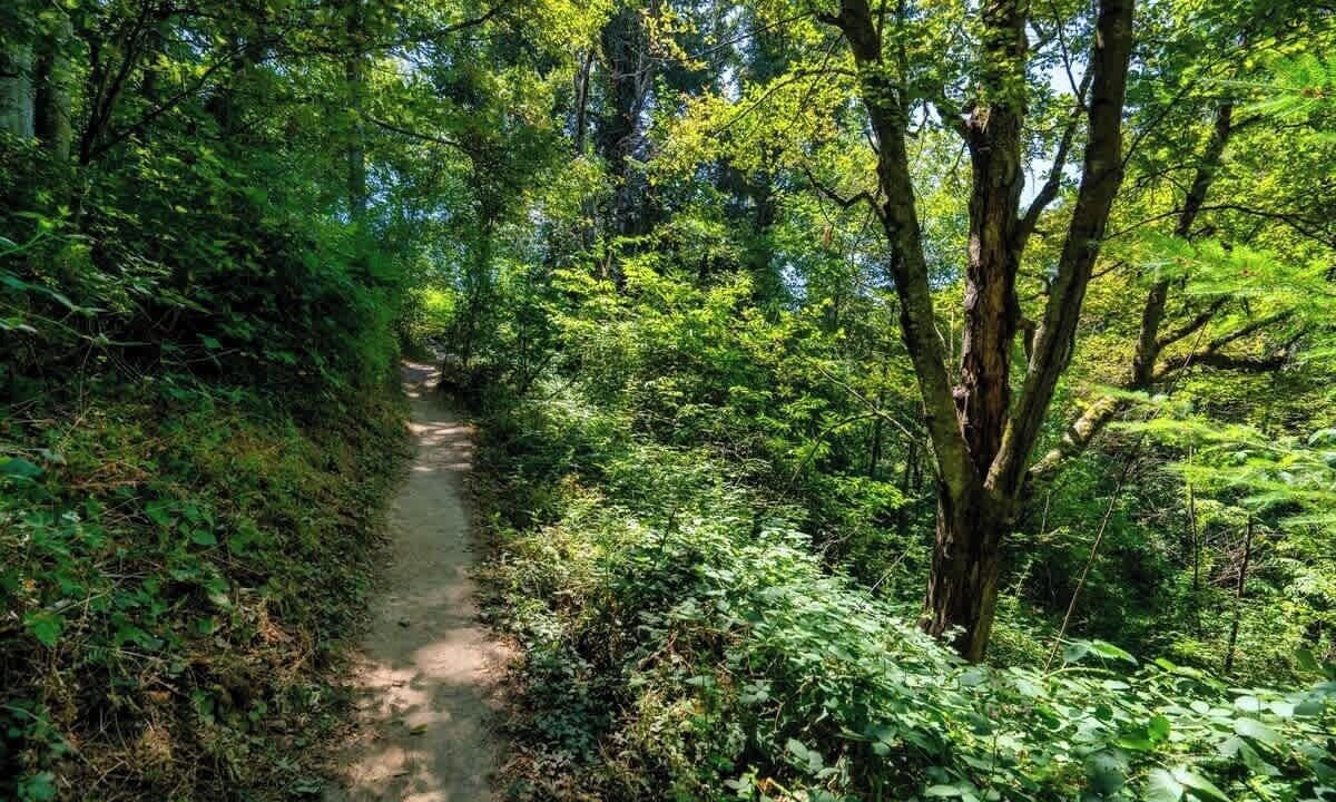 Photo of Others in Ashcreek