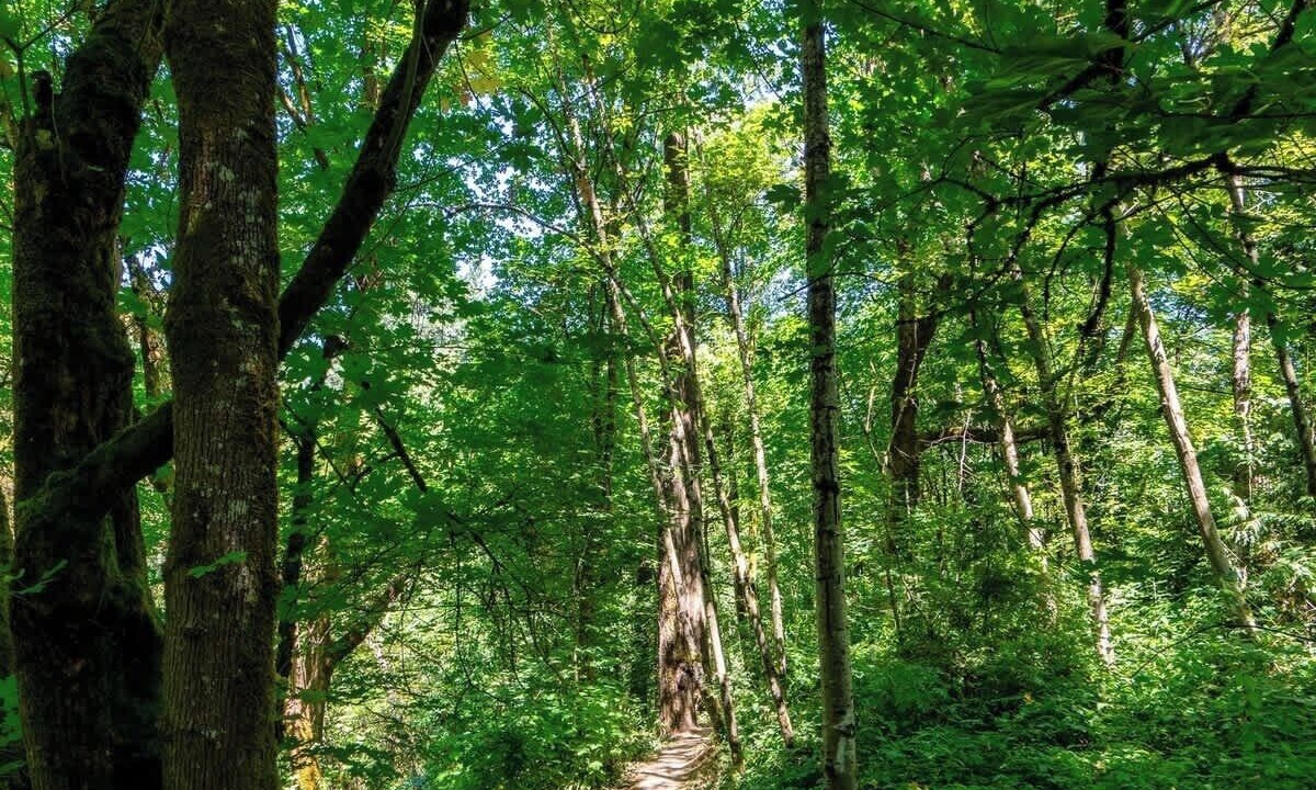 Photo of Others in Ashcreek