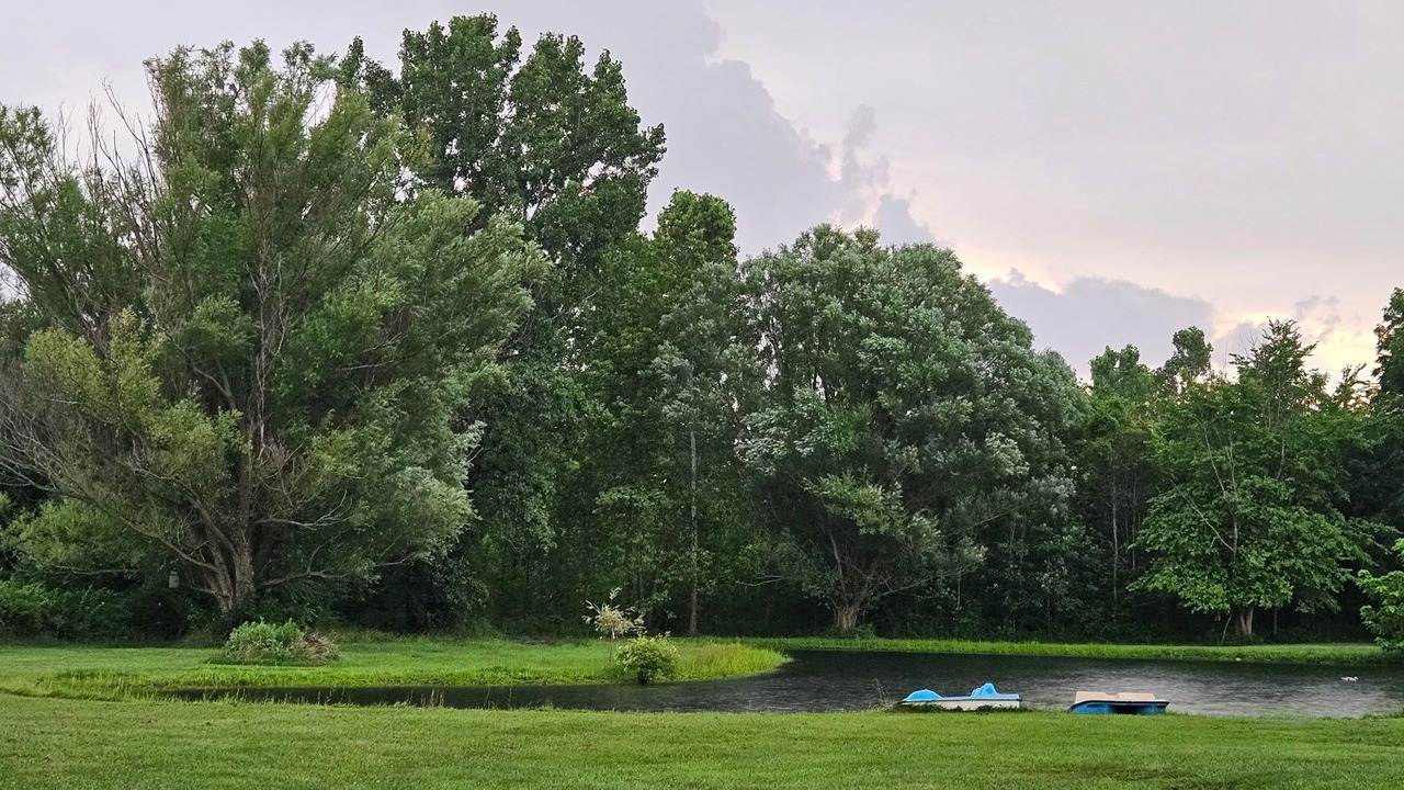 Photo of Others in Sulphur Springs