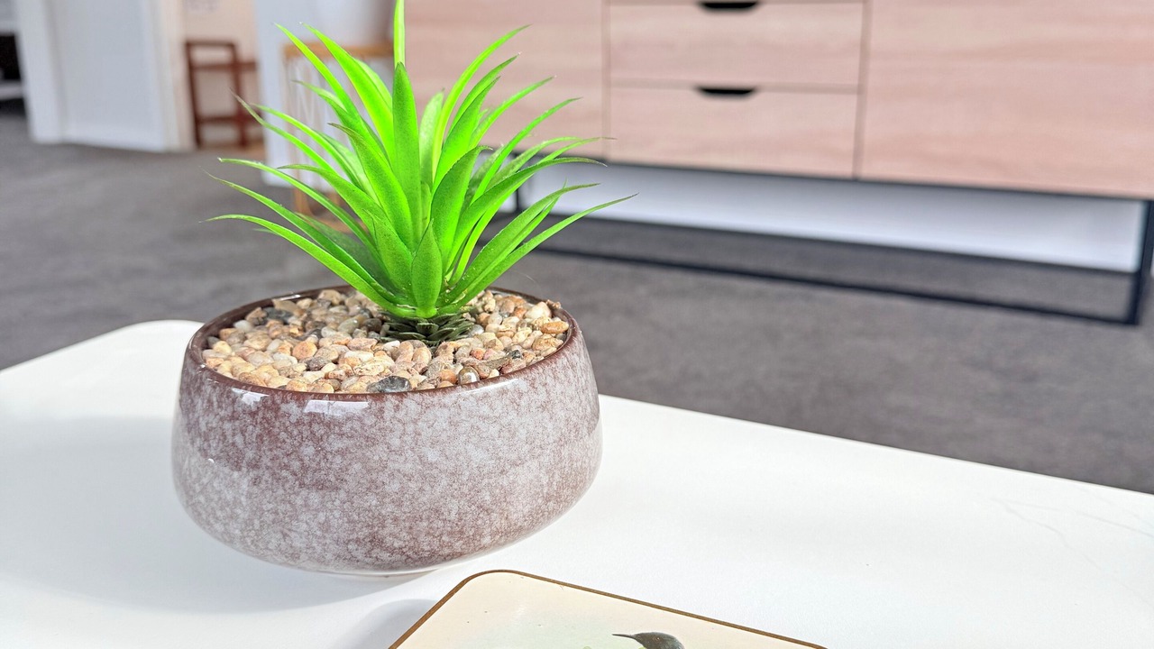 Photo of Others in Johnsonville