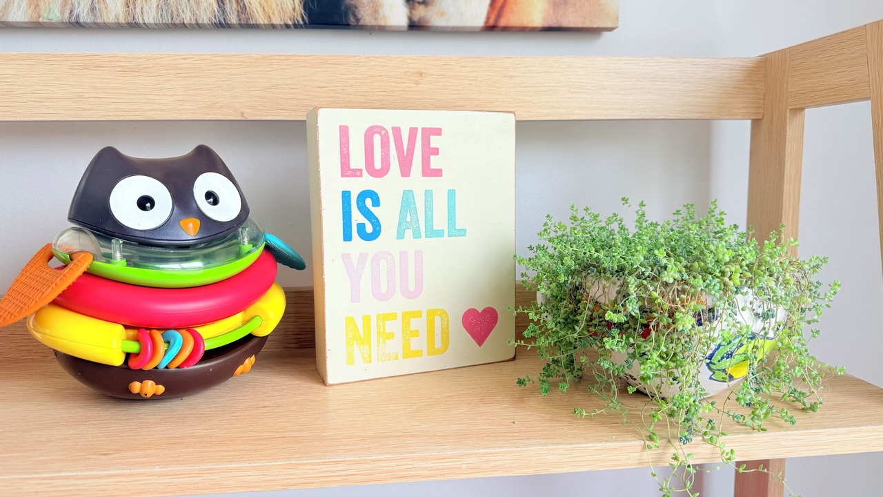 Photo of Others in Johnsonville