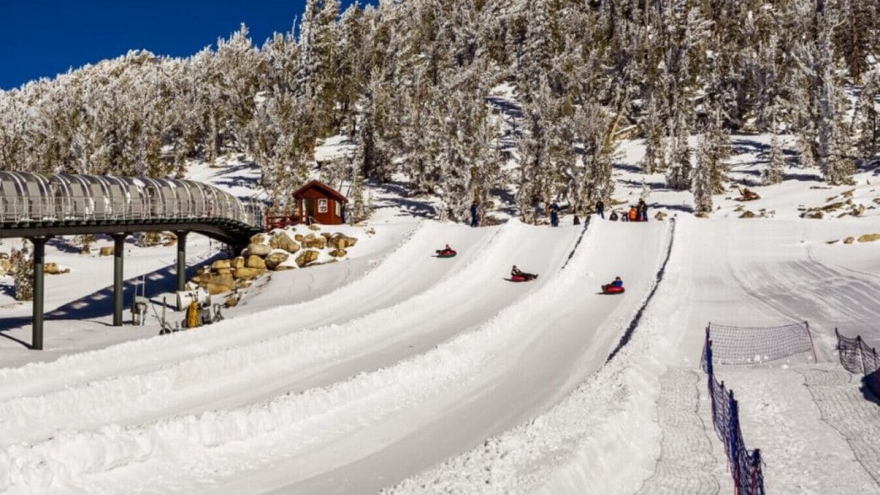 Photo of Others in Great Barrington