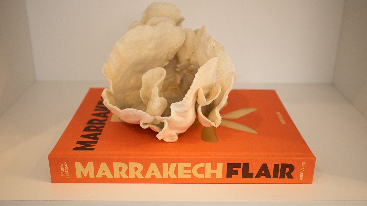 Photo of Others in Double Bay