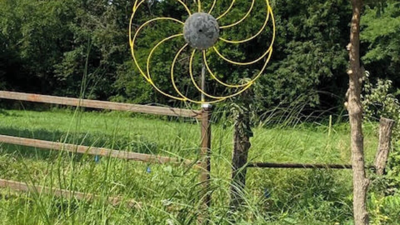 Photo of Outdoor in Baldwin City