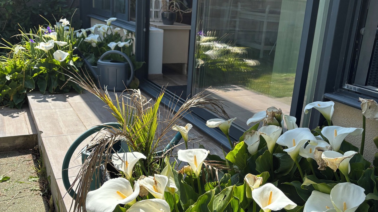 Photo of Outdoor in Wimereux
