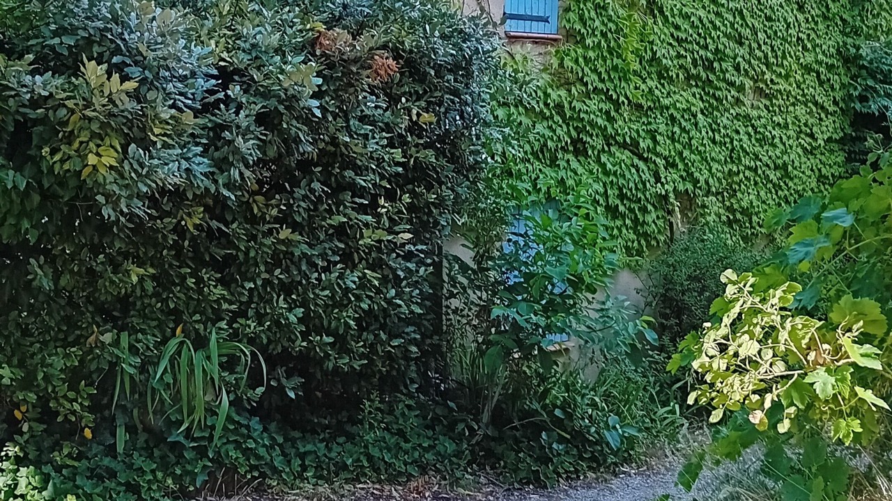 Photo of Outdoor in Sigonce