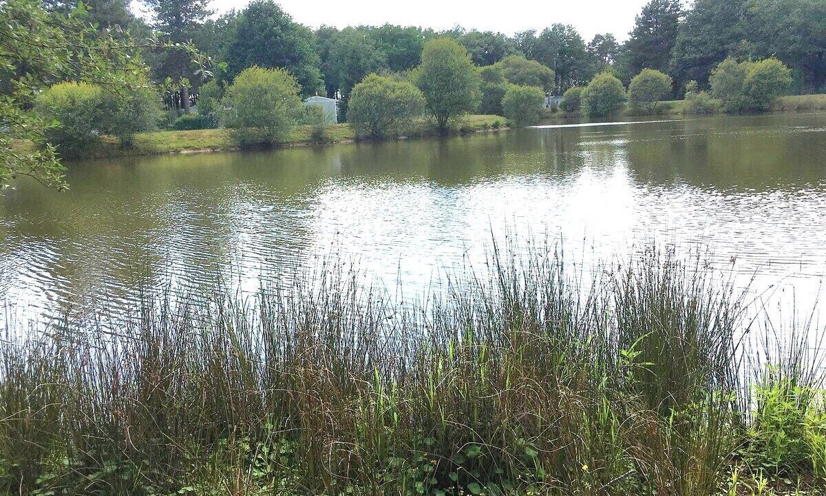 Photo of Others in La Boissiere-de-Montaigu