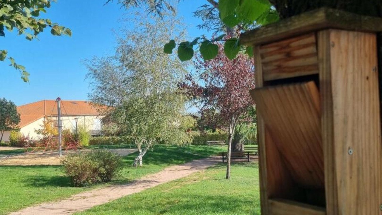 Photo of Outdoor in Saint-Andre-dʼApchon