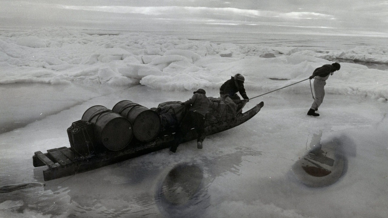 Photo of Others in Canterbury