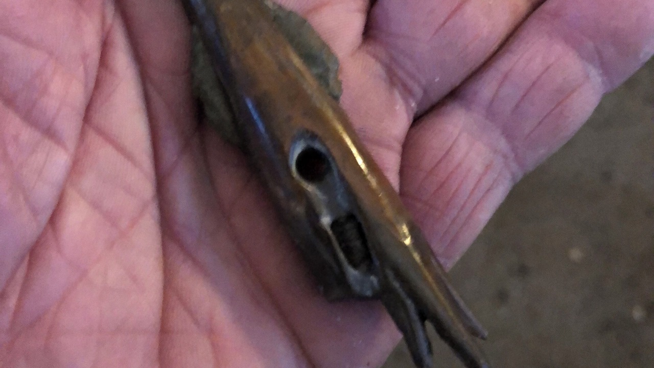 Photo of Others in Canterbury