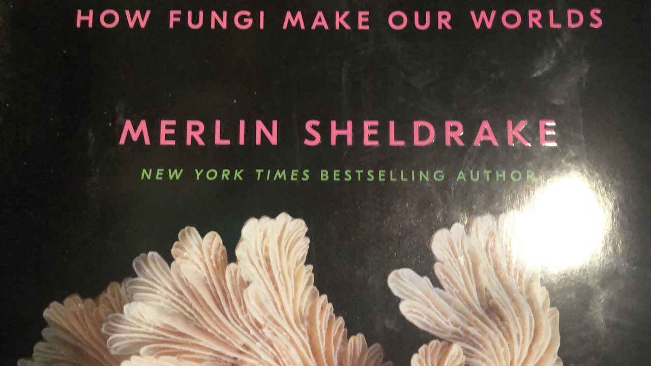 Photo of Others in Canterbury