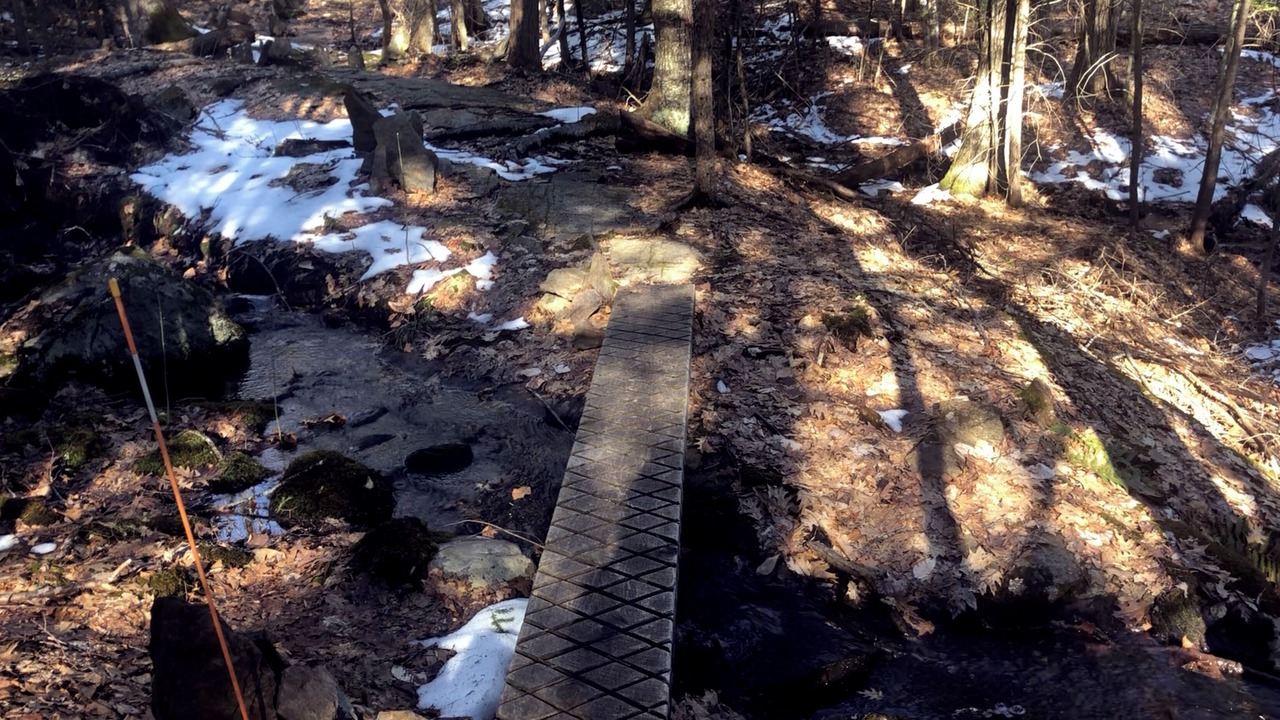 Photo of Others in Canterbury