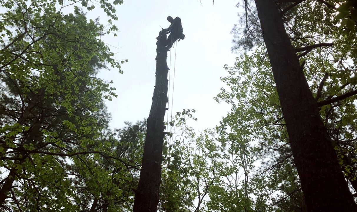 Photo of Others in Canterbury