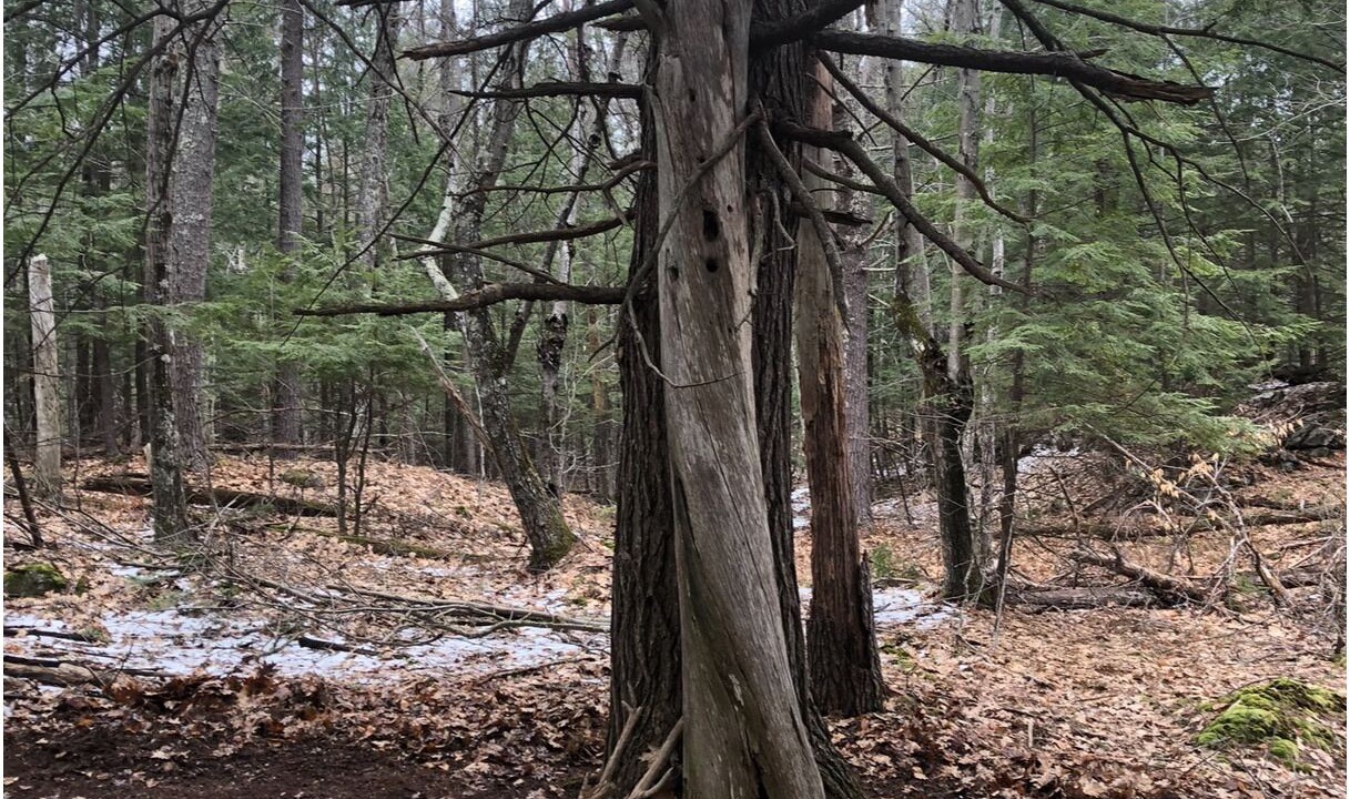 Photo of Others in Canterbury