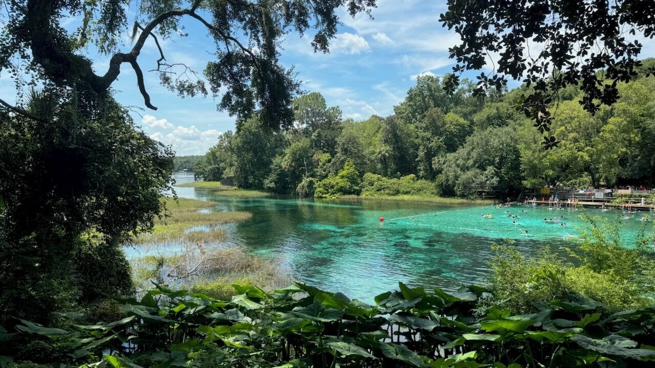 Photo of Outdoor in Crystal River