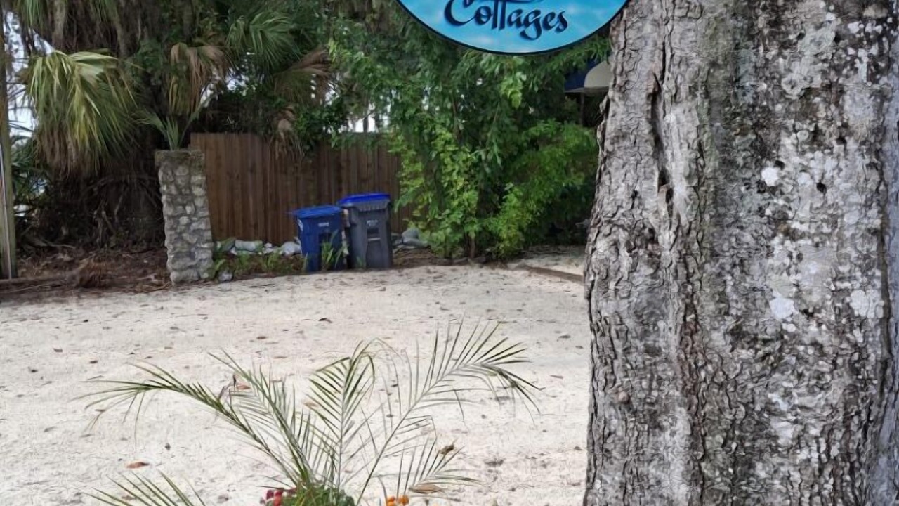 Photo of Outdoor in Crystal River