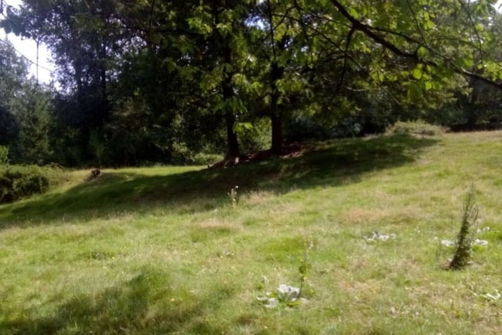 Photo of Outdoor in Saint-Cyr-des-Gats