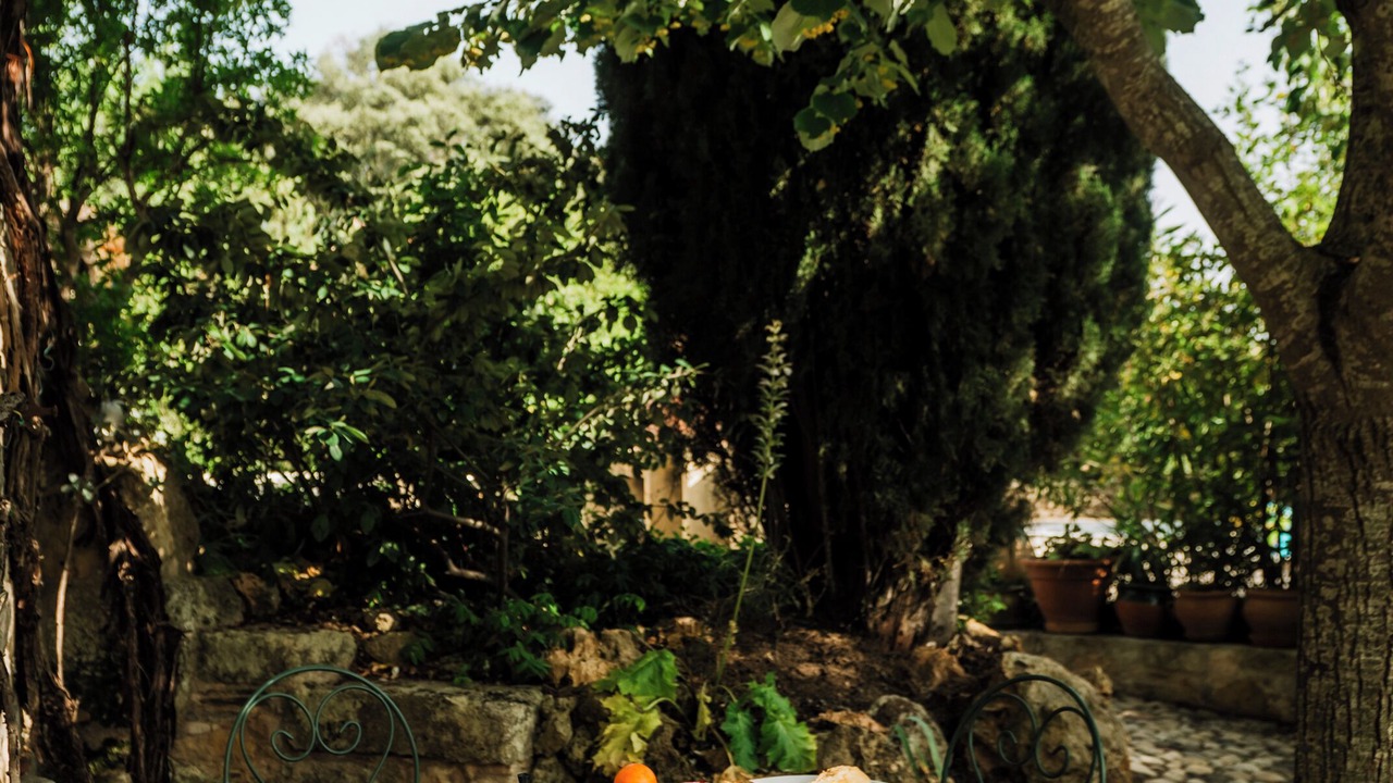Photo of Outdoor in Vendemian