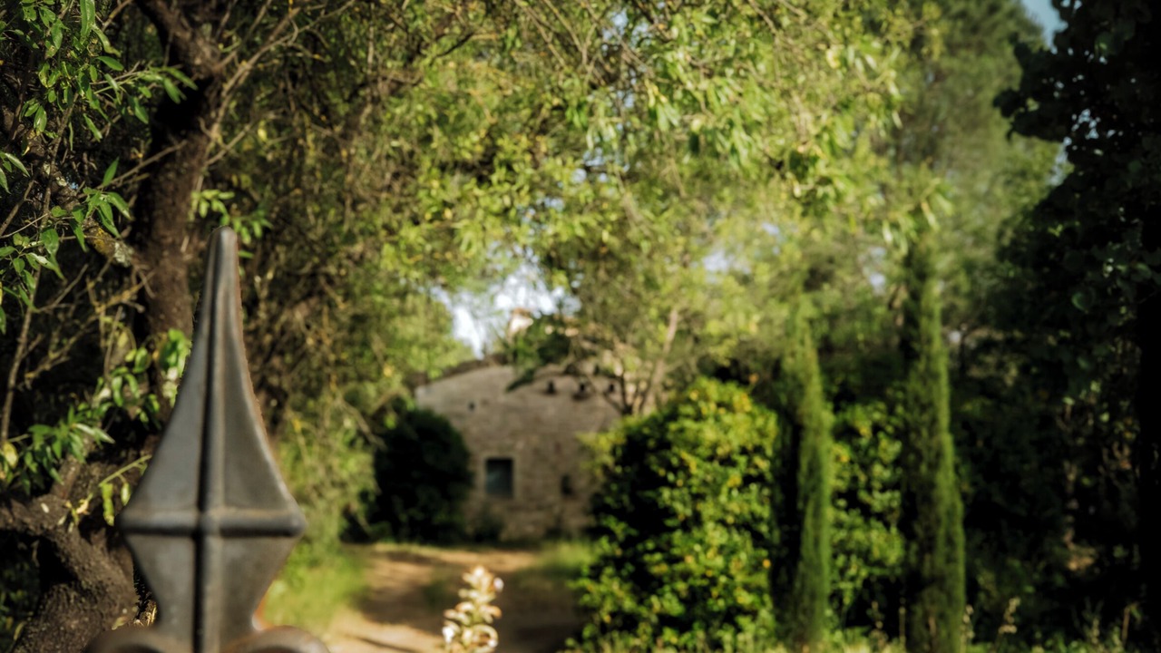 Photo of Outdoor in Vendemian