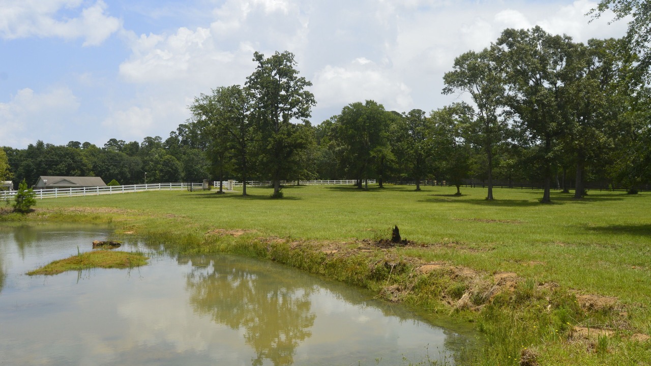 Photo of Outdoor in Montgomery