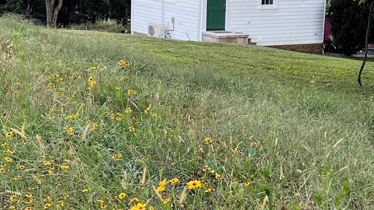 Photo of Outdoor in Charlottesville