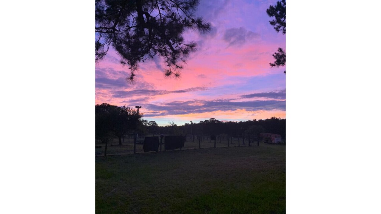 Photo of Outdoor in Navasota