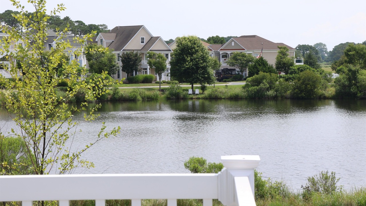 Photo of Outdoor in Bayside