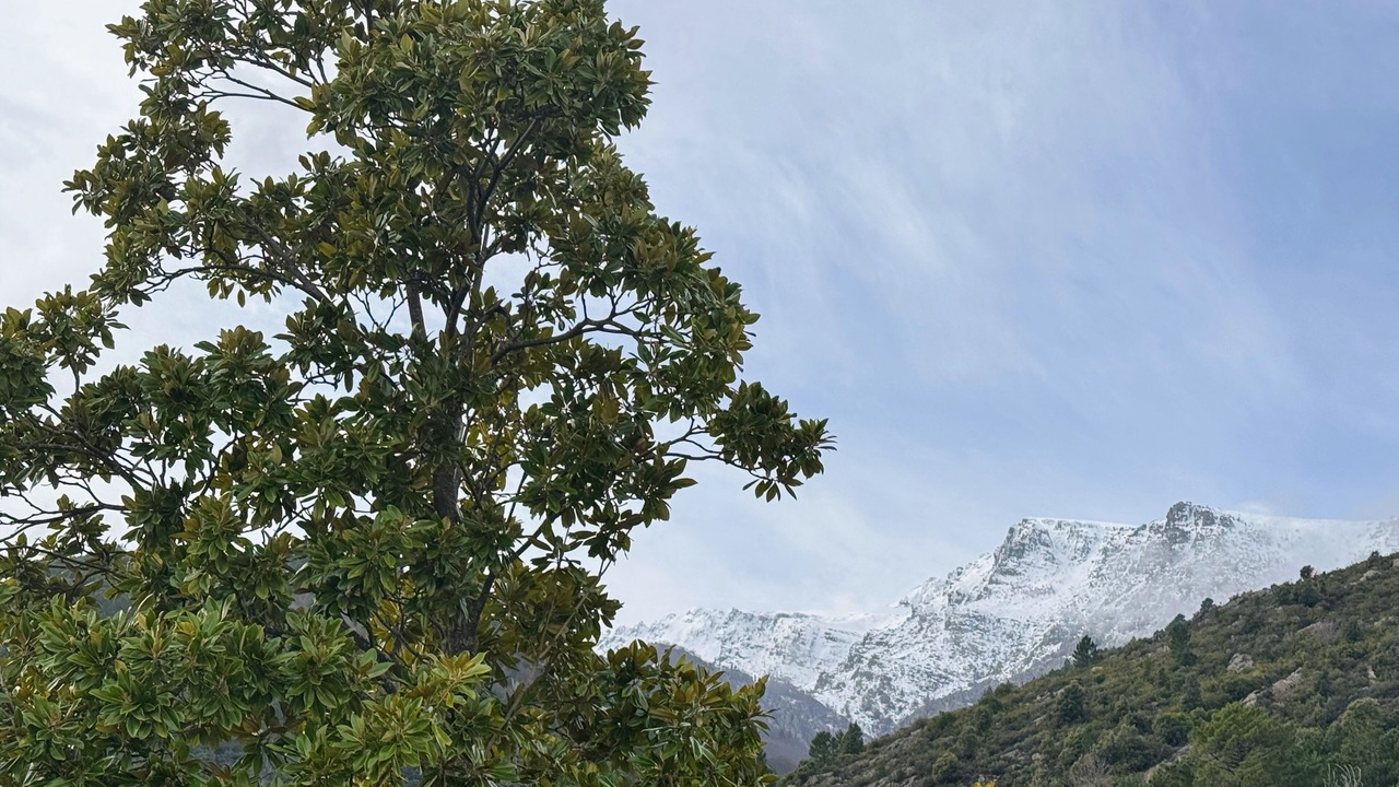 Photo of Others in Casanova