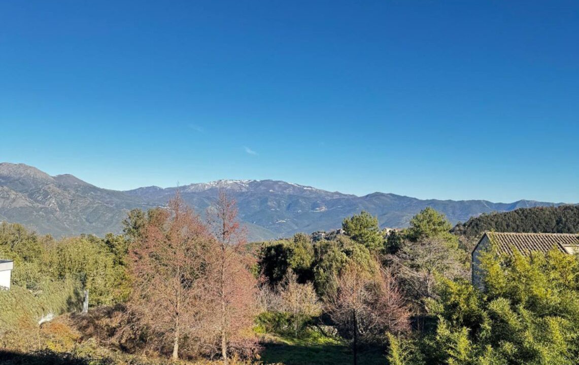 Photo of Outdoor in Casanova