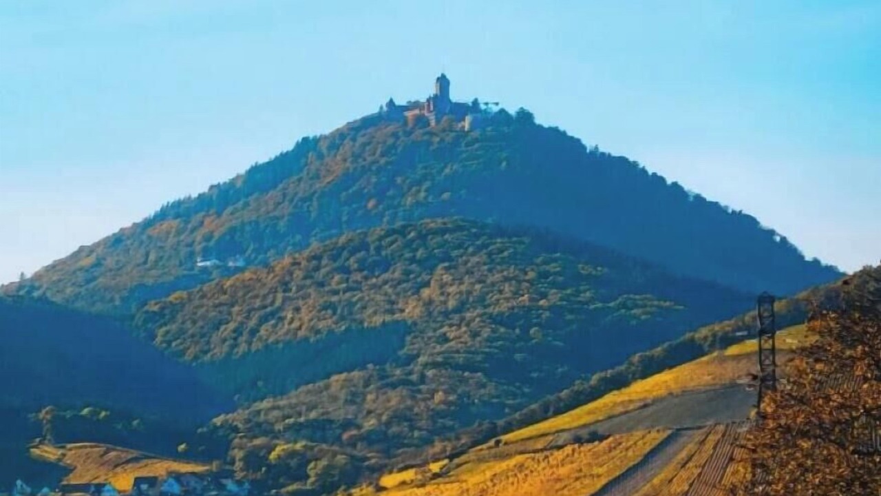 Photo of Others in Zellwiller