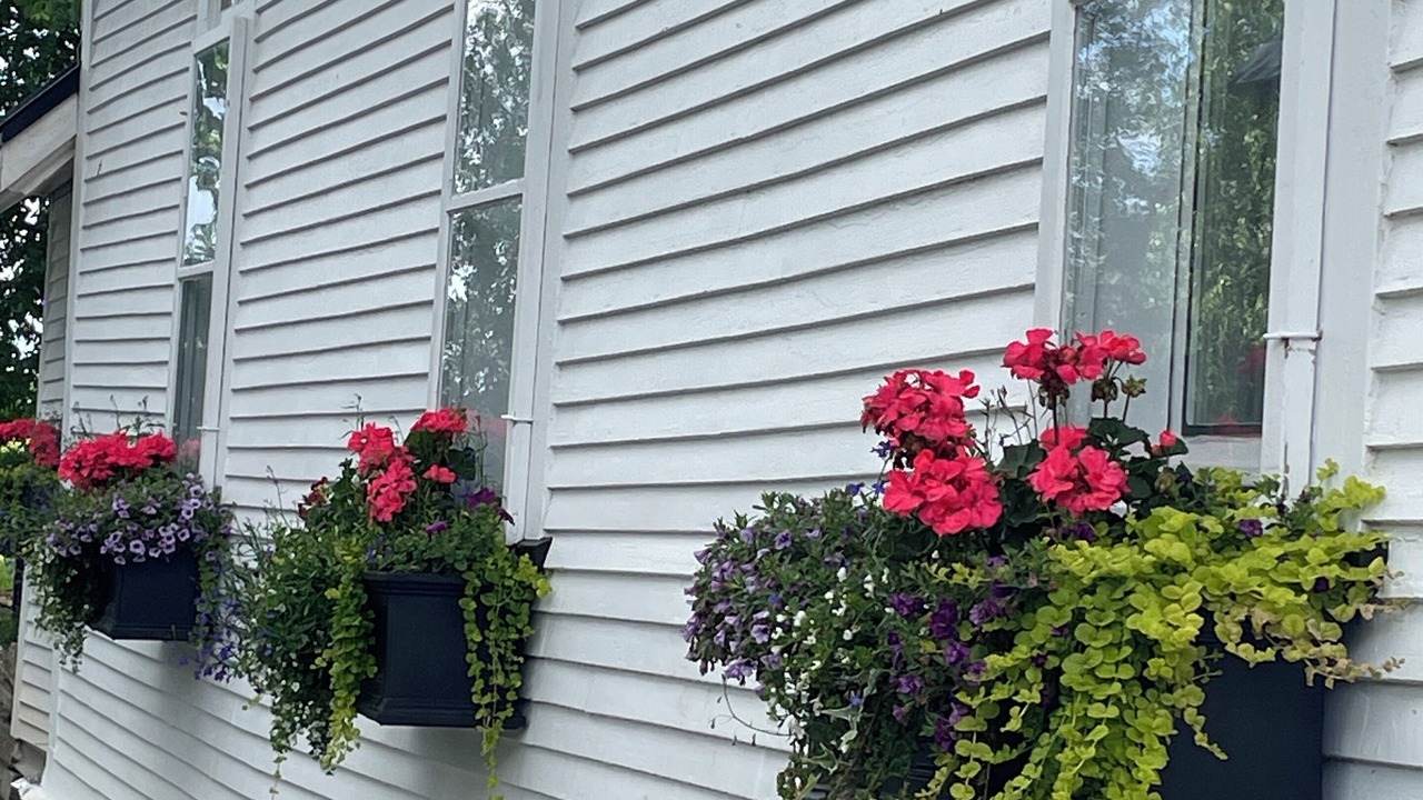 Photo of Outdoor in Sutton