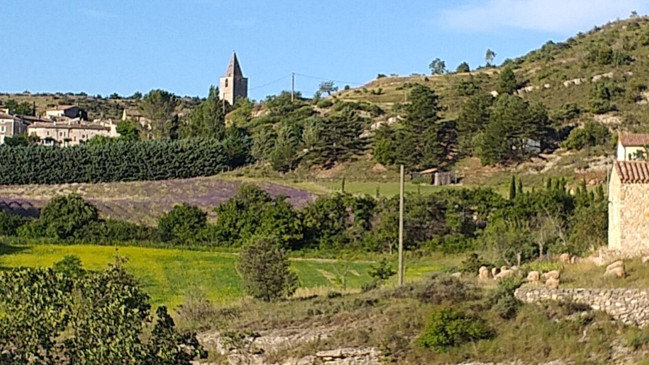 Photo of Others in Gras