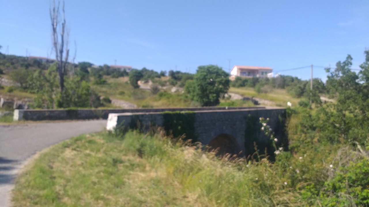 Photo of Others in Gras