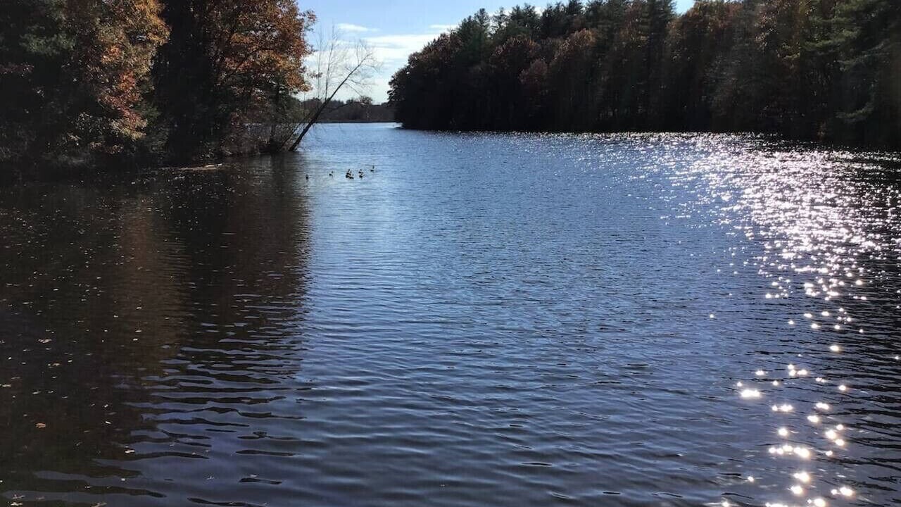 Photo of Others in Wolcott