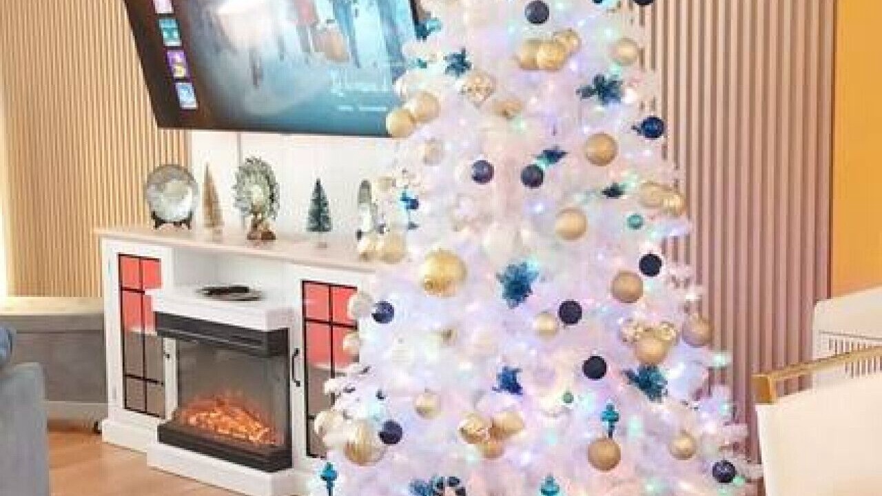 Photo of Others in Wolcott