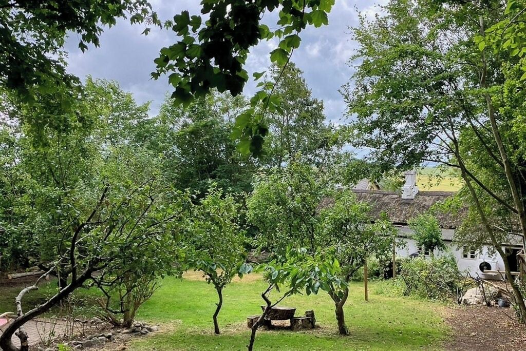 Photo of Outdoor in Hurup Thy