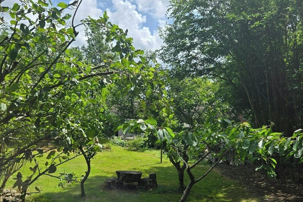 Photo of Outdoor in Hurup Thy