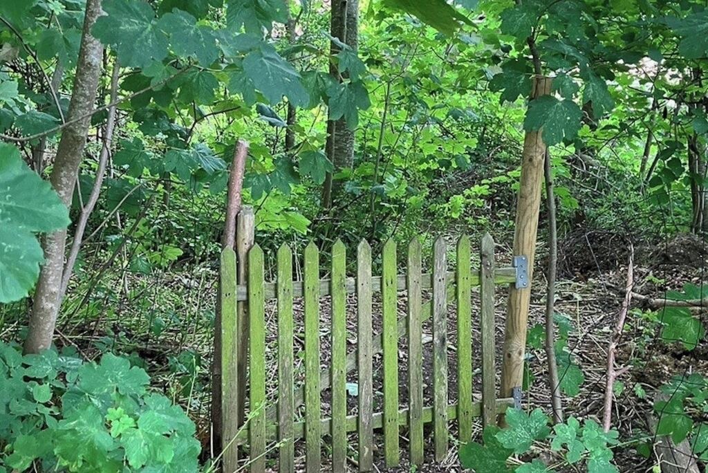 Photo of Outdoor in Hurup Thy