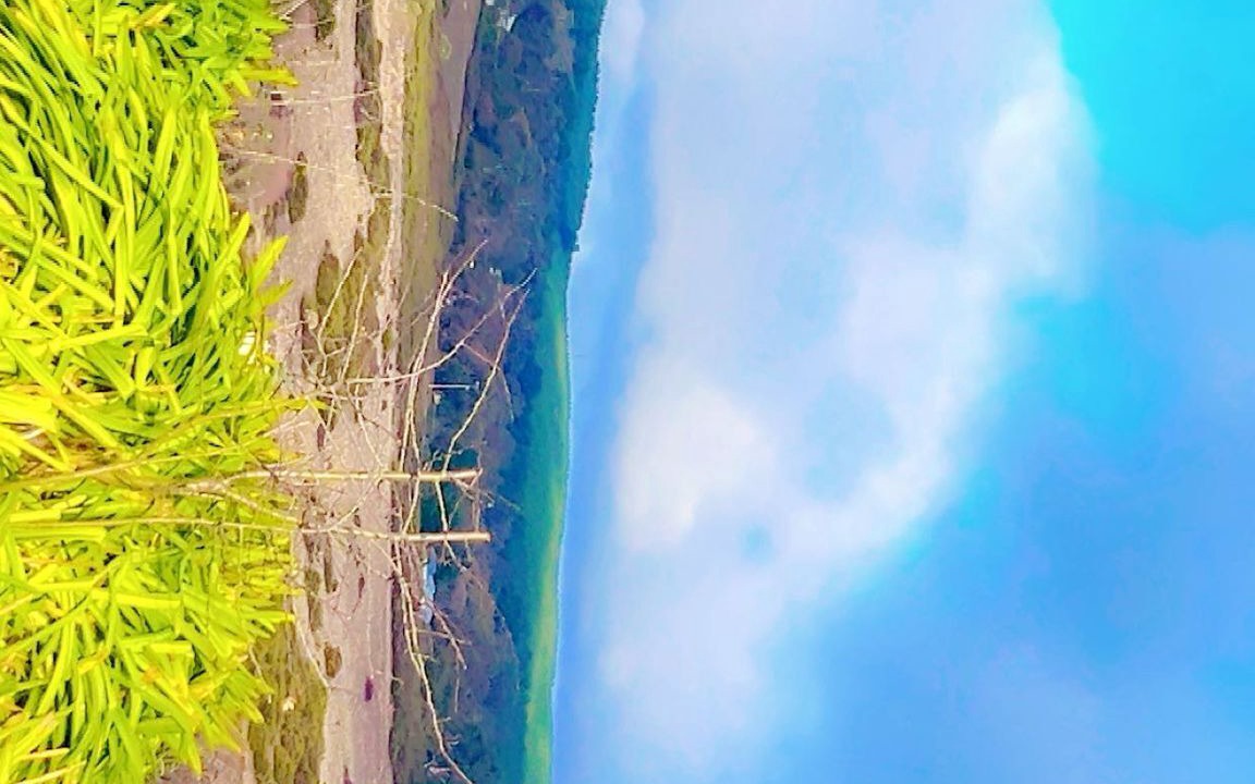 Photo of Outdoor in Sebastopol