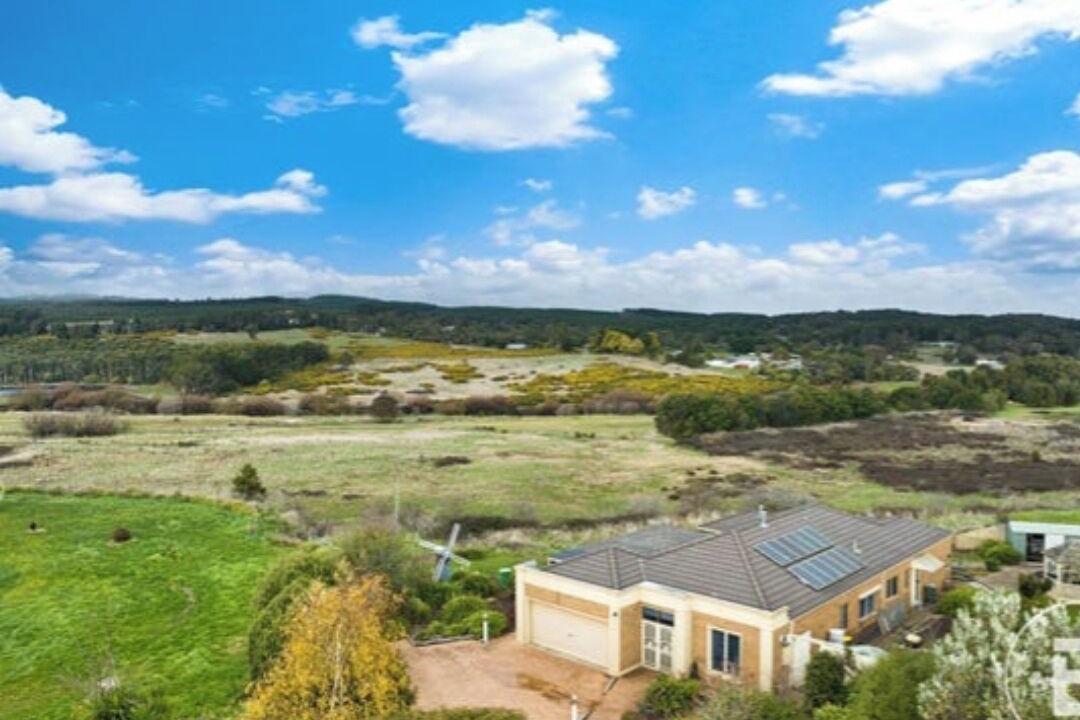 Photo of Outdoor in Sebastopol